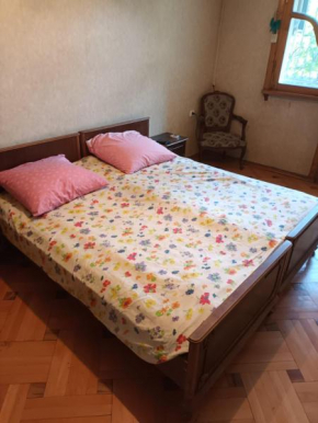Guest house on Gorgasali 37